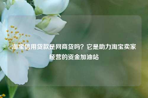 淘宝信用贷款是网商贷吗?它是助力淘宝卖家经营的资金加油站