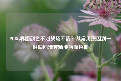 PUBG界面颜色不对战场不清？从常见原因到一键调回清爽精准画面色调