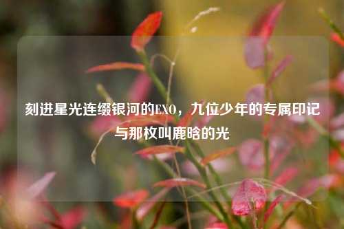 刻进星光连缀银河的EXO，九位少年的专属印记与那枚叫鹿晗的光
