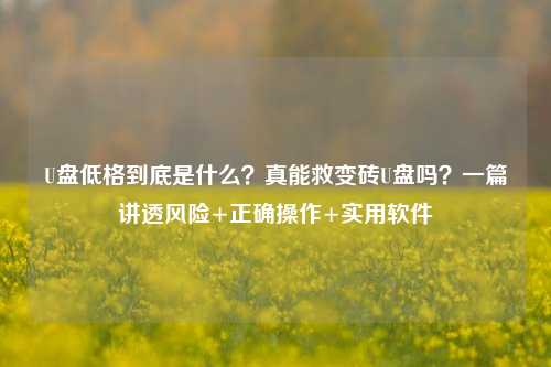 U盘低格到底是什么?真能救变砖U盘吗?一篇讲透风险+正确操作+实用软件
