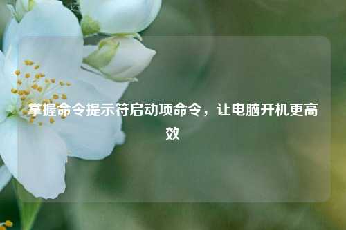 掌握命令提示符启动项命令,让电脑开机更高效