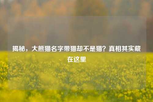揭秘，大熊猫名字带猫却不是猫？真相其实藏在这里