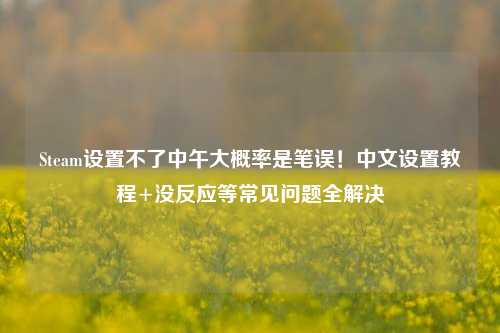 Steam设置不了中午大概率是笔误!中文设置教程+没反应等常见问题全解决