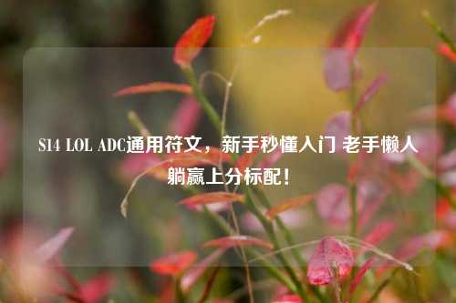 S14 LOL ADC通用符文,新手秒懂入门 老手懒人躺赢上分标配!