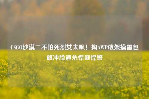 CSGO沙漠二不怕死烈女太飒!掏AWP敢架摸雷包敢冲脸通杀悍匪悍警