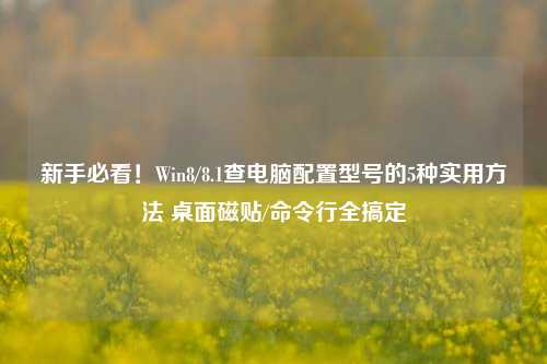 新手必看！Win8/8.1查电脑配置型号的5种实用方法 桌面磁贴/命令行全搞定