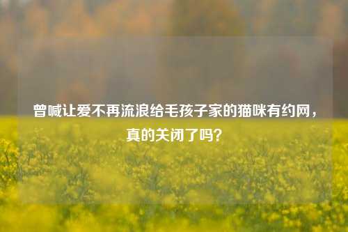 曾喊让爱不再流浪给毛孩子家的猫咪有约网，真的关闭了吗？