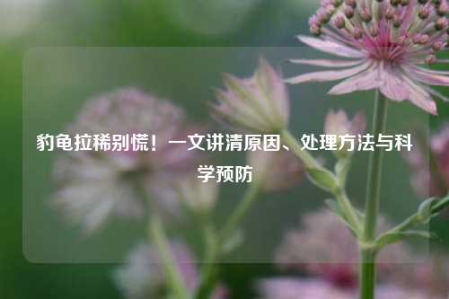 豹龟拉稀别慌！一文讲清原因、处理方法与科学预防