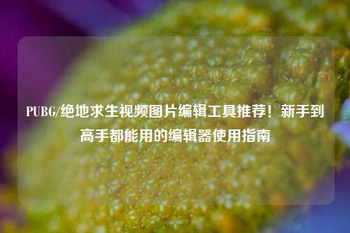 PUBG/绝地求生视频图片编辑工具推荐!新手到高手都能用的编辑器使用指南