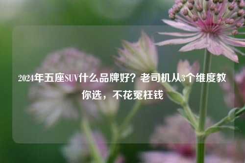 2024年五座SUV什么品牌好?老司机从3个维度教你选,不花冤枉钱