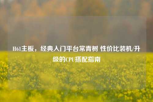 H61主板,经典入门平台常青树 性价比装机/升级的CPU搭配指南