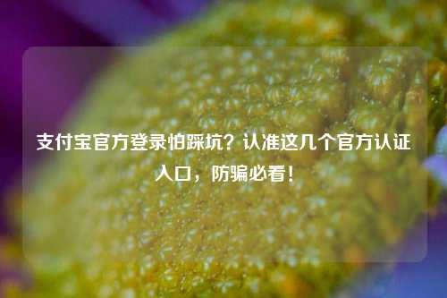 支付宝官方登录怕踩坑？认准这几个官方认证入口，防骗必看！