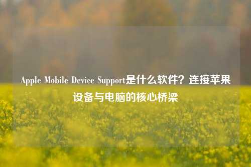 Apple Mobile Device Support是什么软件?连接苹果设备与电脑的核心桥梁