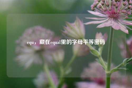 equ,藏在equal里的字母平等密码