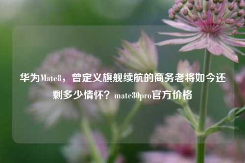 华为Mate8,曾定义旗舰续航的商务老将如今还剩多少情怀?mate80pro官方价格