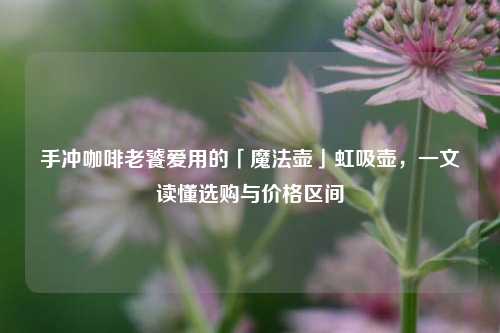 手冲咖啡老饕爱用的「魔法壶」虹吸壶,一文读懂选购与价格区间