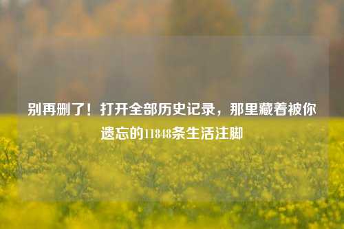 别再删了!打开全部历史记录,那里藏着被你遗忘的11848条生活注脚