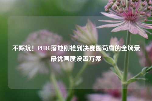 不踩坑！PUBG落地刚枪到决赛圈苟赢的全场景最优画质设置方案