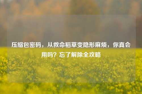 压缩包密码,从救命稻草变隐形麻烦,你真会用吗?忘了解除全攻略