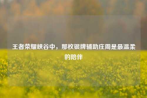 王者荣耀峡谷中，那枚银牌辅助庄周是最温柔的陪伴