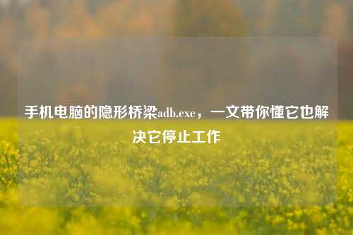手机电脑的隐形桥梁adb.exe，一文带你懂它也解决它停止工作