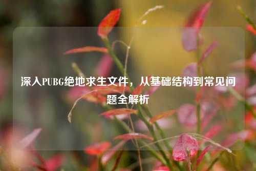 深入PUBG绝地求生文件,从基础结构到常见问题全解析
