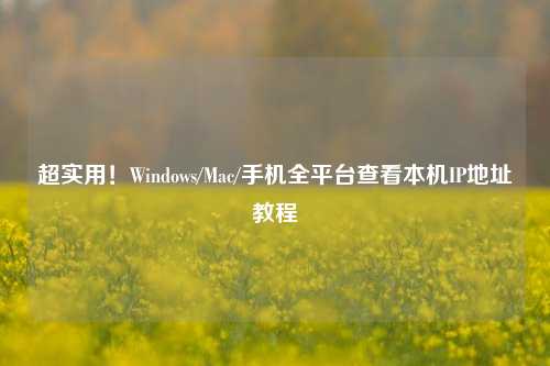 超实用!Windows/Mac/手机全平台查看本机IP地址教程