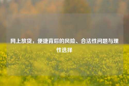 网上放贷,便捷背后的风险、合法性问题与理性选择