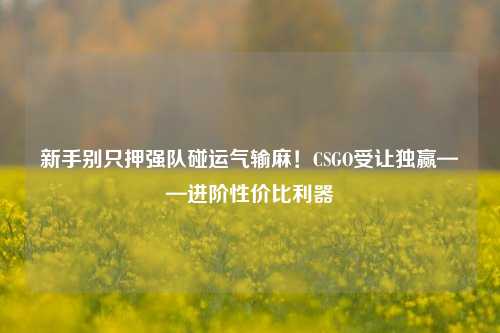 新手别只押强队碰运气输麻！CSGO受让独赢——进阶性价比利器