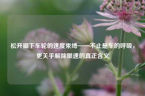 松开脚下车轮的速度束缚——不止是车的呼吸,更关乎解除限速的真正含义
