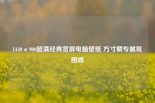 1440×900超清经典宽屏电脑壁纸 方寸藏专属氛围感