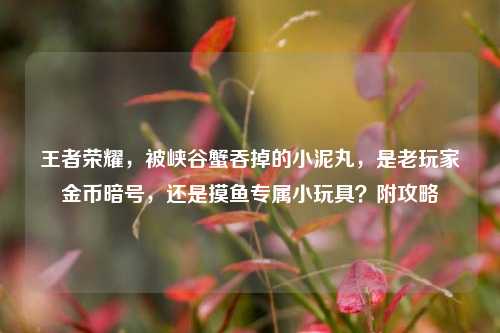 王者荣耀，被峡谷蟹吞掉的小泥丸，是老玩家金币暗号，还是摸鱼专属小玩具？附攻略