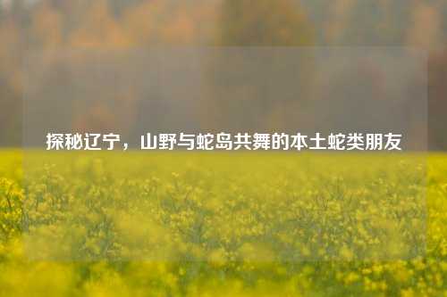 探秘辽宁,山野与蛇岛共舞的本土蛇类朋友