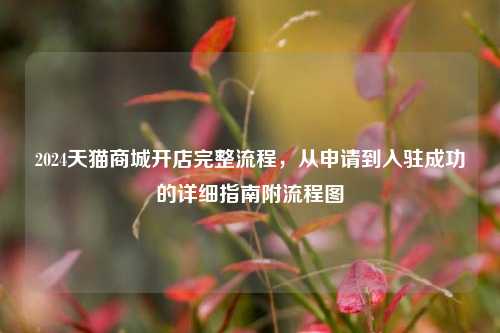 2024天猫商城开店完整流程,从申请到入驻成功的详细指南附流程图