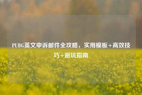 PUBG英文申诉邮件全攻略,实用模板+高效技巧+避坑指南
