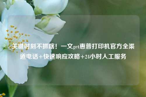 关键时刻不抓瞎!一文get惠普打印机官方全渠道电话+快速响应攻略+24小时人工服务