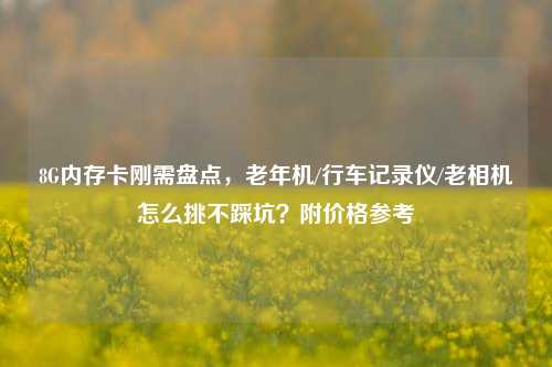 8G内存卡刚需盘点,老年机/行车记录仪/老相机怎么挑不踩坑?附价格参考