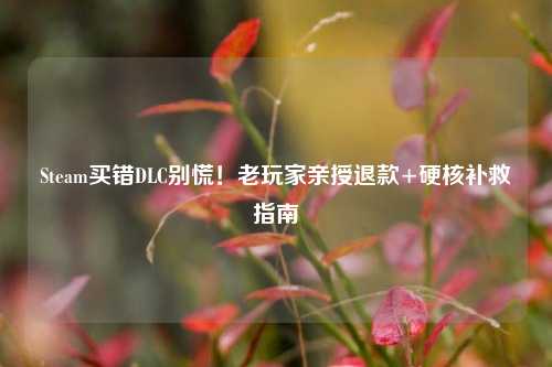 Steam买错DLC别慌!老玩家亲授退款+硬核补救指南