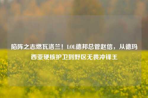 陷阵之志燃瓦洛兰!LOL德邦总管赵信,从德玛西亚硬核护卫到野区无畏冲锋王