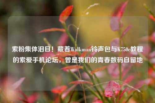 索粉集体泪目!藏着Walkman铃声包与K750c教程的索爱手机论坛,曾是我们的青春数码自留地