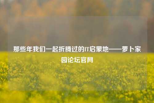 那些年我们一起折腾过的IT启蒙地——萝卜家园论坛官网