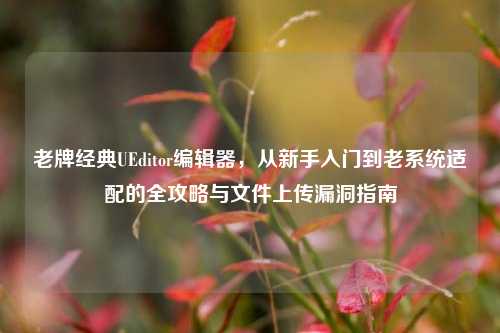 老牌经典UEditor编辑器,从新手入门到老系统适配的全攻略与文件上传漏洞指南