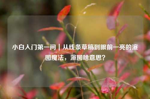 小白入门第一问|从线条草稿到眼前一亮的渲图魔法,渲图啥意思?