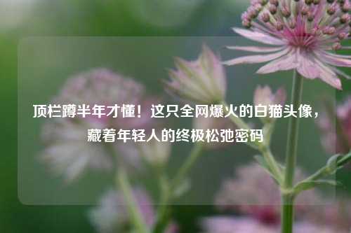 顶栏蹲半年才懂!这只全网爆火的白猫头像,藏着年轻人的终极松弛密码