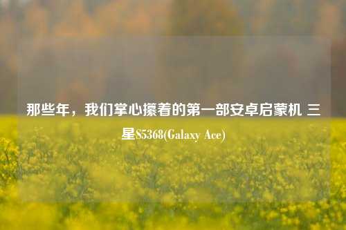 那些年,我们掌心攥着的第一部安卓启蒙机 三星S5368(Galaxy Ace)