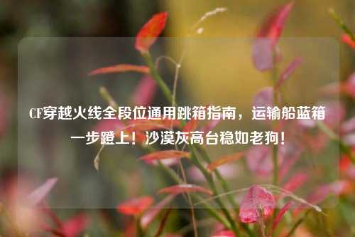CF穿越火线全段位通用跳箱指南，运输船蓝箱一步蹬上！沙漠灰高台稳如老狗！