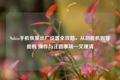 Nokia手机恢复出厂设置全攻略，从功能机到智能机 操作与注意事项一文理清