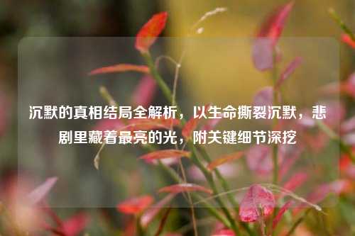 沉默的真相结局全解析，以生命撕裂沉默，悲剧里藏着最亮的光，附关键细节深挖
