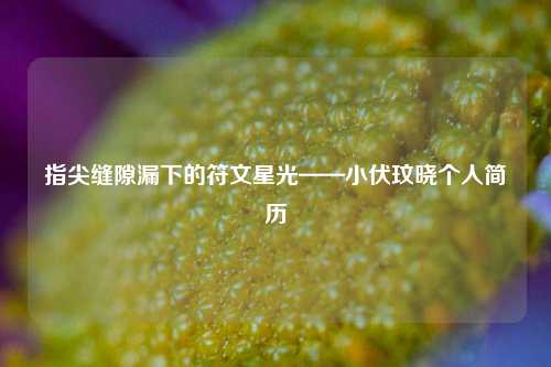 指尖缝隙漏下的符文星光——小伏玟晓个人简历