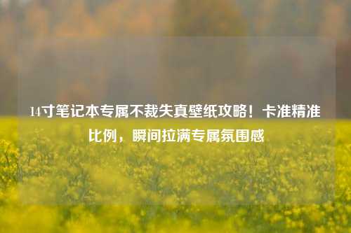 14寸笔记本专属不裁失真壁纸攻略!卡准精准比例,瞬间拉满专属氛围感